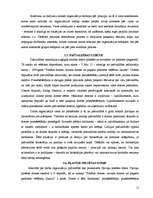 Referāts 'Darba organizācija pašvaldībā', 11.