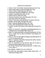 Referāts 'Darba organizācija pašvaldībā', 33.