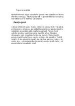 Konspekts 'Nauda', 17.