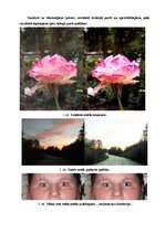 Prezentācija 'Fotogrāfiju apstrāde', 2.