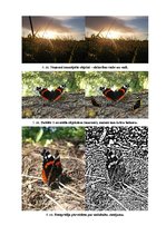 Prezentācija 'Fotogrāfiju apstrāde', 3.