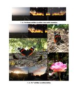 Prezentācija 'Fotogrāfiju apstrāde', 4.