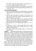 Prezentācija 'Fotogrāfiju apstrāde', 7.