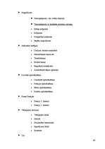 Prakses atskaite 'SIA "Hansabanka" prakses atskaite', 13.