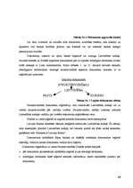 Prakses atskaite 'SIA "Hansabanka" prakses atskaite', 17.