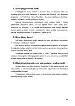 Prakses atskaite 'SIA "Hansabanka" prakses atskaite', 26.