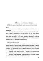 Prakses atskaite 'SIA "Hansabanka" prakses atskaite', 27.