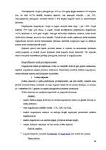 Prakses atskaite 'SIA "Hansabanka" prakses atskaite', 28.