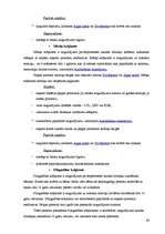 Prakses atskaite 'SIA "Hansabanka" prakses atskaite', 31.