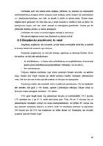 Prakses atskaite 'SIA "Hansabanka" prakses atskaite', 45.