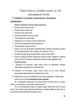 Prakses atskaite 'SIA "Hansabanka" prakses atskaite', 46.