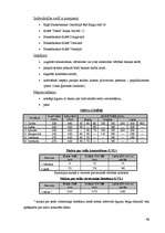 Prakses atskaite 'SIA "Hansabanka" prakses atskaite', 49.