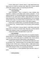 Prakses atskaite 'SIA "Hansabanka" prakses atskaite', 51.