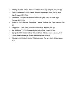 Eseja 'Māksla kā sabiedriskās apziņas forma', 4.