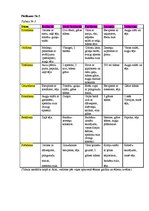 Referāts 'Ēšanas paradumi mūsdienu sabiedrībā', 29.