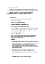 Prakses atskaite 'Sociālā gadījuma risināšanas prakse', 11.