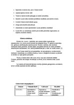 Prakses atskaite 'Sociālā gadījuma risināšanas prakse', 12.