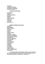 Prakses atskaite 'Sociālā gadījuma risināšanas prakse', 20.