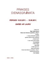 Prakses atskaite 'Sociālā gadījuma risināšanas prakse', 24.