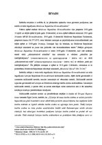 Referāts 'Soda regulējums Moldovas Republikas Kriminālkodeksā', 3.