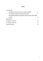 Paraugs 'Ieskaites darbs inovāciju ekonomikā', 2.