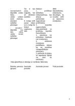 Paraugs 'Ieskaites darbs inovāciju ekonomikā', 4.