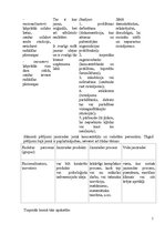 Paraugs 'Ieskaites darbs inovāciju ekonomikā', 5.