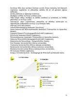 Paraugs 'Ieskaites darbs inovāciju ekonomikā', 18.