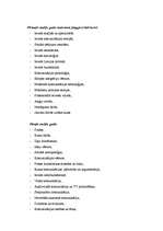 Referāts 'Žurnālistika', 4.