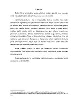 Referāts 'Intelektuālā īpašuma izmantošana uzņēmējdarbībā', 5.