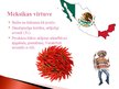 Prezentācija 'Meksikas kultūra', 3.