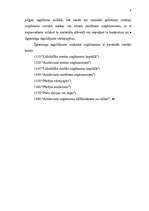 Referāts 'Ilgtermiņa ieguldījumi', 6.