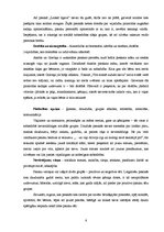 Referāts 'Dzimumu stereotipi latgaliešu pasakās', 6.