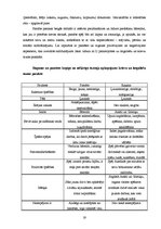 Referāts 'Dzimumu stereotipi latgaliešu pasakās', 19.