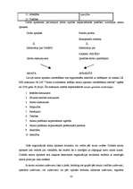 Konspekts 'Personāla vadīšana', 33.