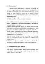 Referāts 'Krīžu komunikācijas un vadības plāns', 9.