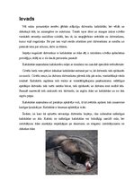 Referāts 'Mākslīgā āda un kažokāda', 2.