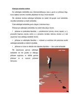 Referāts 'Mākslīgā āda un kažokāda', 9.