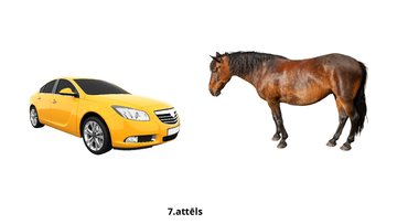 Prezentācija 'Bērna runas attīstības un valodas apguves
izvērtējums', 8.