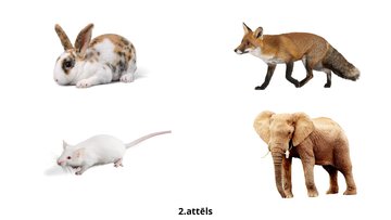 Prezentācija 'Bērna runas attīstības un valodas apguves
izvērtējums', 28.