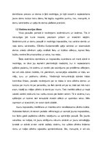 Referāts 'Sistemātiskā domāšana', 4.