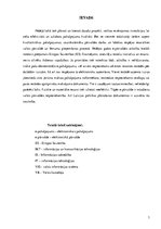 Referāts 'E-pārvalde Latvijā. Mērķi, uzdevumi, pamatprincipi', 3.