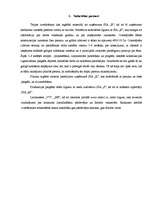 Referāts 'Ziedu salona izveidošana', 7.