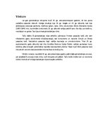 Referāts 'Globalizācija', 4.