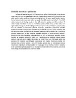 Referāts 'Globalizācija', 12.