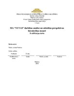 Diplomdarbs 'SIA "X" darbības analīze un attīstības perspektīvas uzņēmējdarbībā', 1.