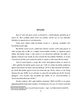 Diplomdarbs 'SIA "X" darbības analīze un attīstības perspektīvas uzņēmējdarbībā', 5.