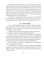 Diplomdarbs 'SIA "X" darbības analīze un attīstības perspektīvas uzņēmējdarbībā', 24.