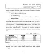 Diplomdarbs 'SIA "X" darbības analīze un attīstības perspektīvas uzņēmējdarbībā', 26.