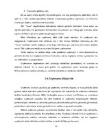 Diplomdarbs 'SIA "X" darbības analīze un attīstības perspektīvas uzņēmējdarbībā', 33.